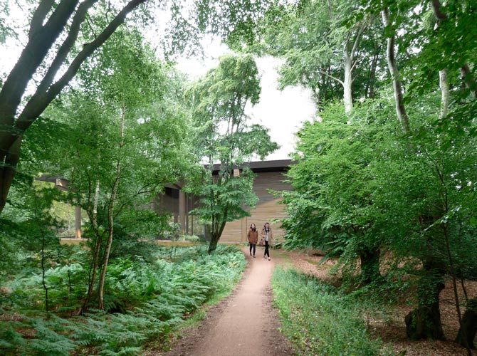 Langley Vale Wood Visitor's Centre 24